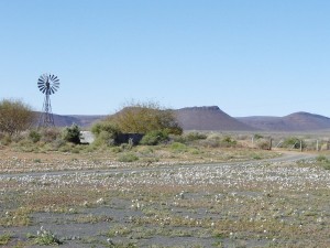 karoo_windmill_142 by Paul Manners SA_SKA_HartRAO