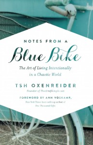 notes-from-a-blue-bike-650x1009